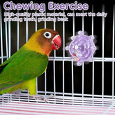 KUTKUT 2PCS Bird Toys for Parakeets Colorful Bird Wheel Rotating Toys Parrot Chewing Toys Interactive Spinner Rattle Parrot Toy Love Bird Toy Bird Cage Accessories